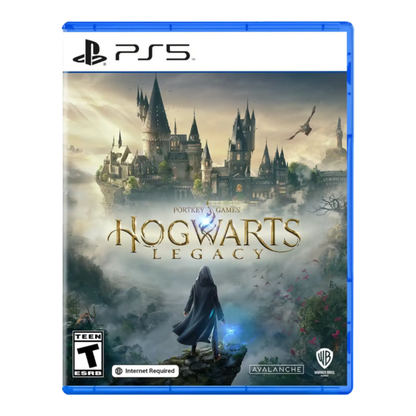 HOGWARTS LEGACY EDICIÓN ESTÁNDAR PS5- FÍSICO