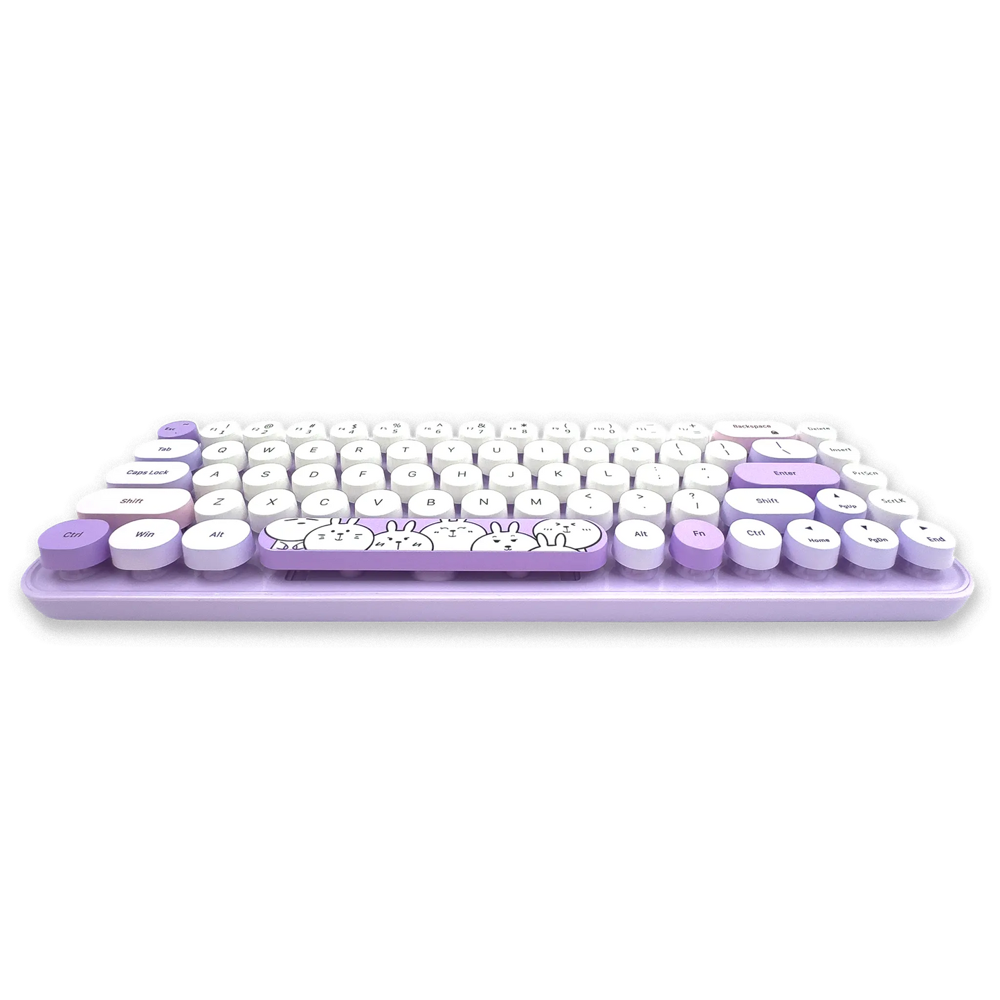 COMBO MOFII I PRO| MORADO