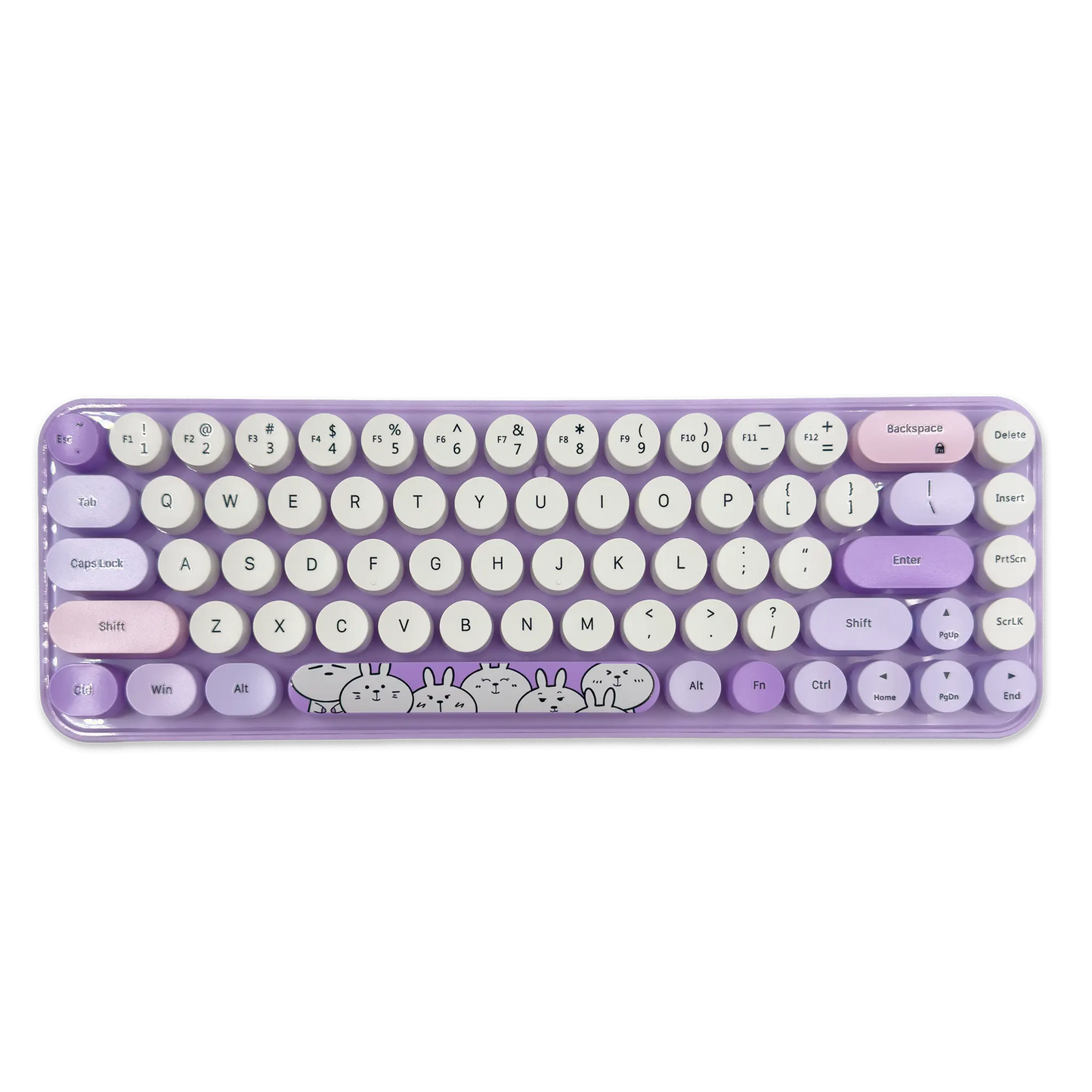 COMBO MOFII I PRO| MORADO